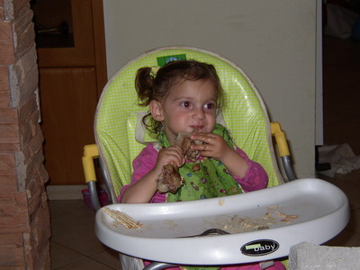 the lamb bone at Pesach