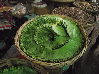 Betel leaves