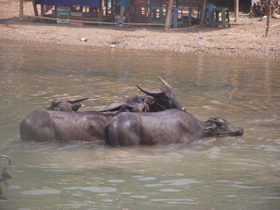 Lake Inlay