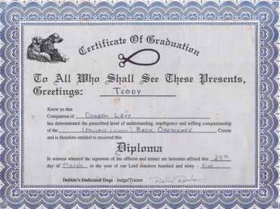 teddy diploma