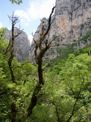 Doreen's hike to Zagoria