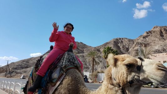 Ilai on a camel