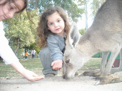 at Gan Garoo park