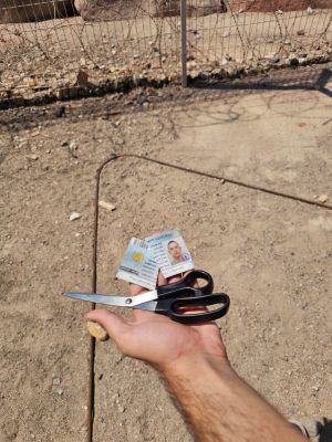 Itamar release