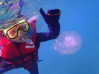 Lotem and jelly fish