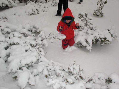 snow in Mitzpeh Ramon