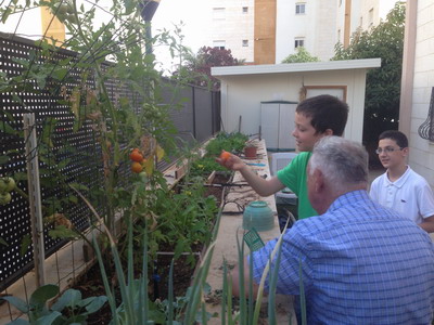 Picking vegetables