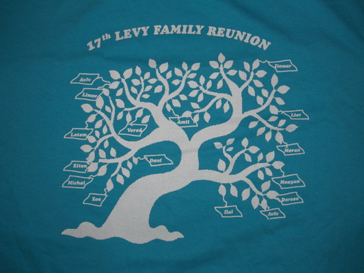 17th Reunion T-shirt