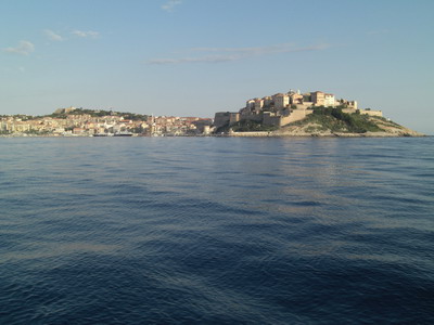 Calvi