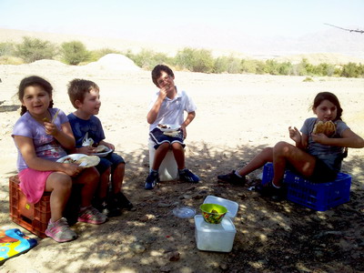 Left-over picnic