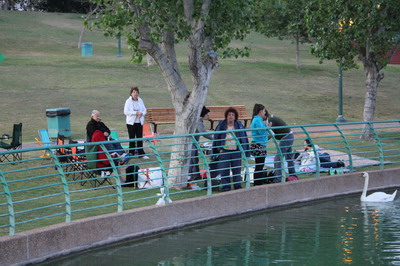 Shavuot picnic