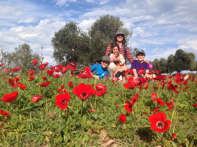 The Segolis among the poppies