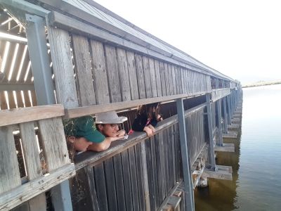 bird watching