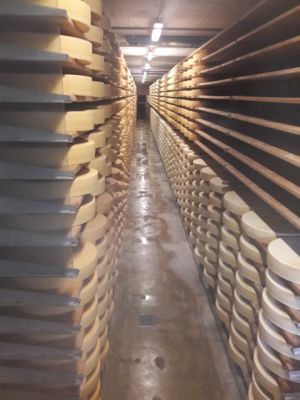 gruyere