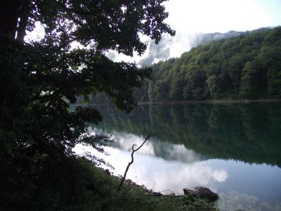 Biogradska