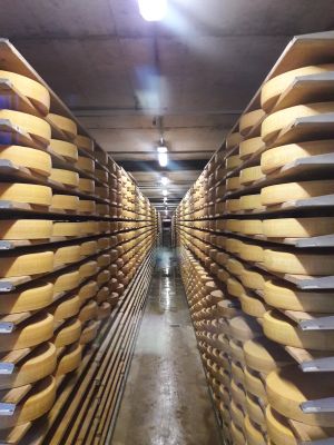 gruyere