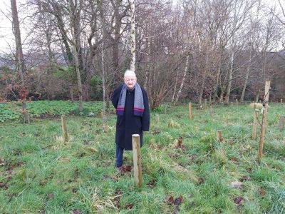 Fern's burial site