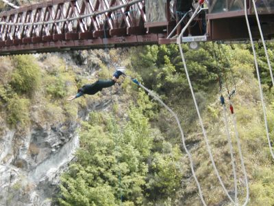 bungy during