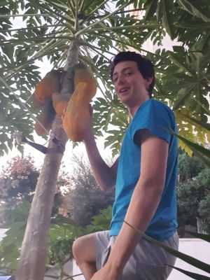 maayan papaya