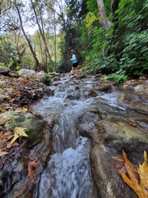 Segoli hike