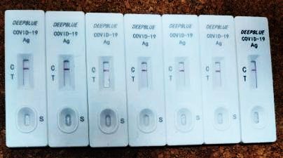 covid test results