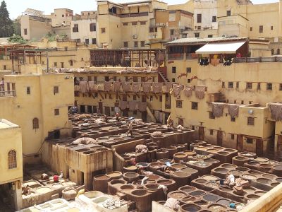 Fez tannery