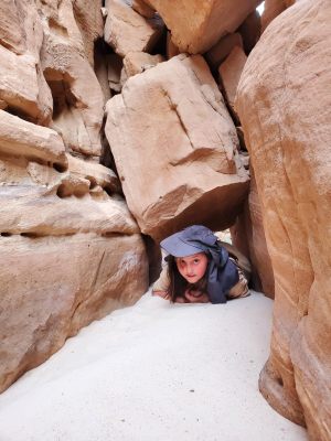 Segoli hike sinai