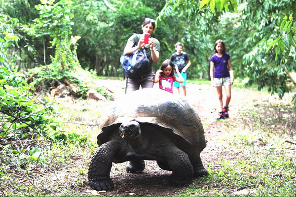 in the Galapagos