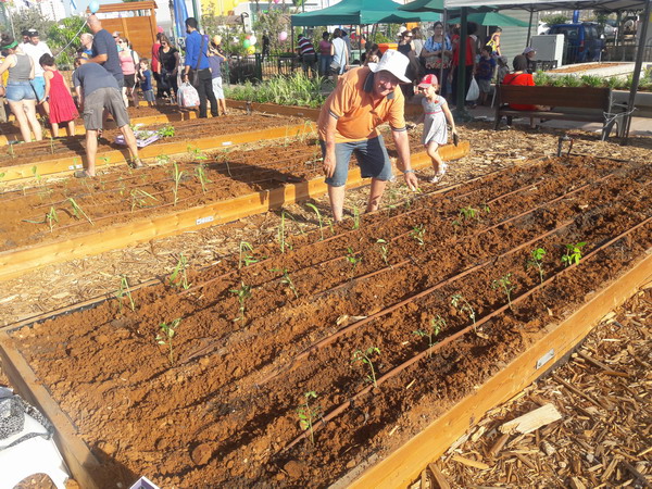 municipal gardening