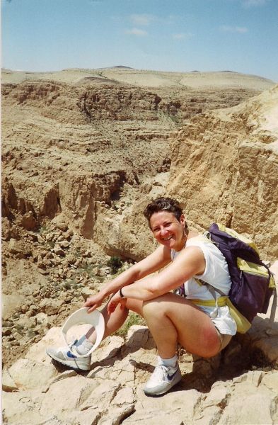 Fern - Eilat mountains