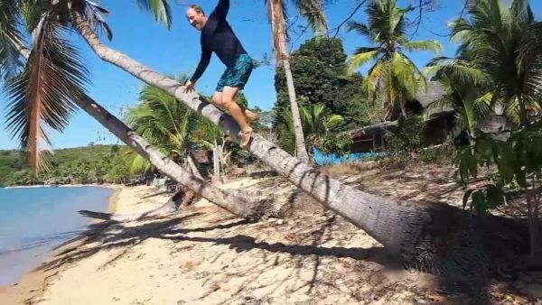 tree climbing