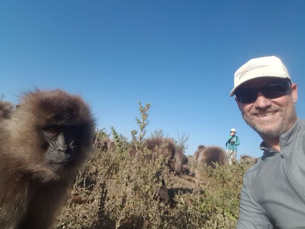 gelada selfie