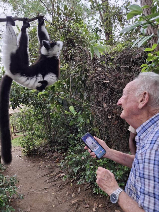 lemur talk