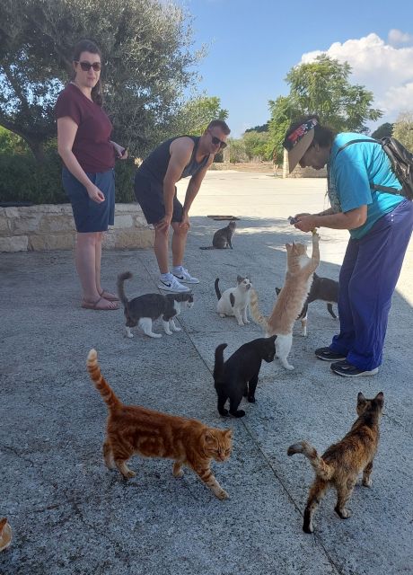 cats