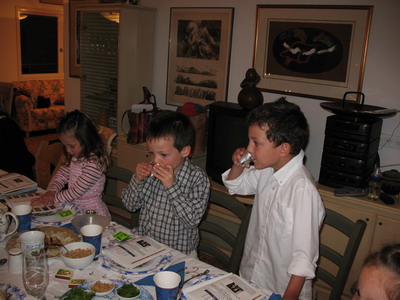 pesach 2009
