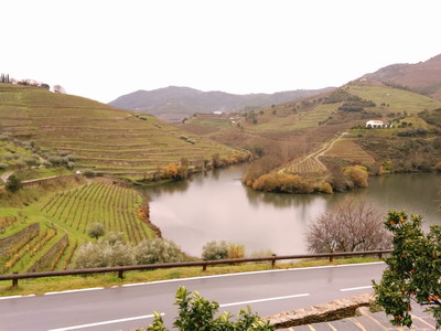 Douro Port Wine route