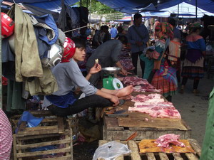 Sapa Bac Ha market