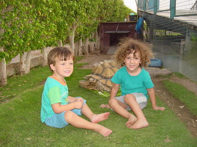 Itamar - Yom kippur 2006