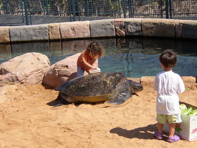 Itamar - Yom kippur 2006