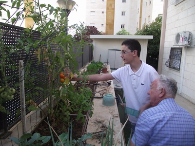 Picking vegetables