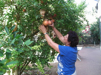 Rosh Hashanah 2008