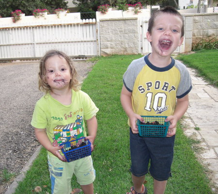 picking mulberries in Hofit