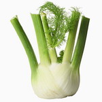 fennel bulb