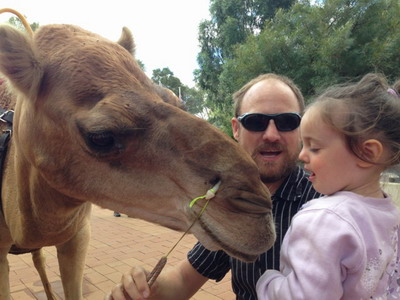 Alice Springs - camel