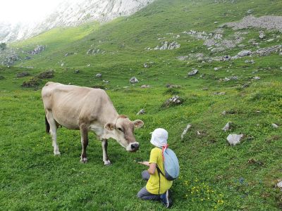 Segolis in Switzerland