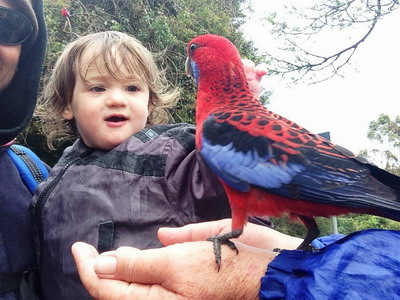 Zoe and parrot